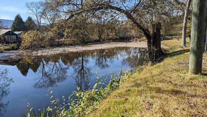 Little River Campground 5