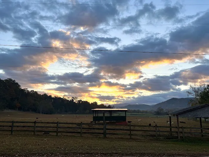 Little River Campground 10