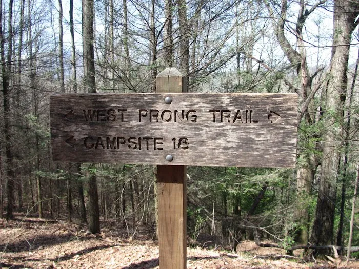 Backcountry Camp 18 4