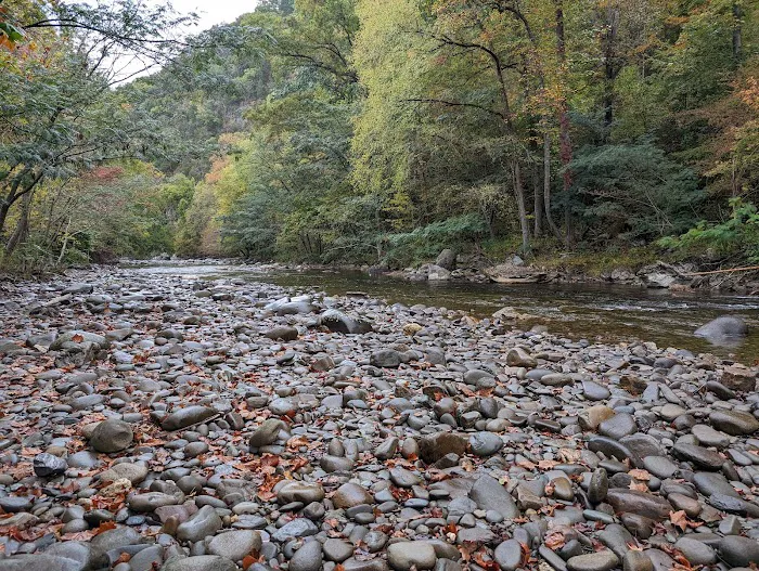 Vee Hollow Campground 7
