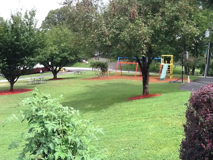 Asheville Bear Creek RV Park 5