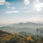 Wilson's Riverfront RV Park