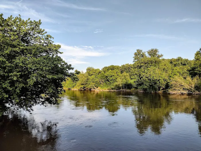Wilson's Riverfront RV Park 9