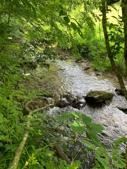 Mountain Retreat 2