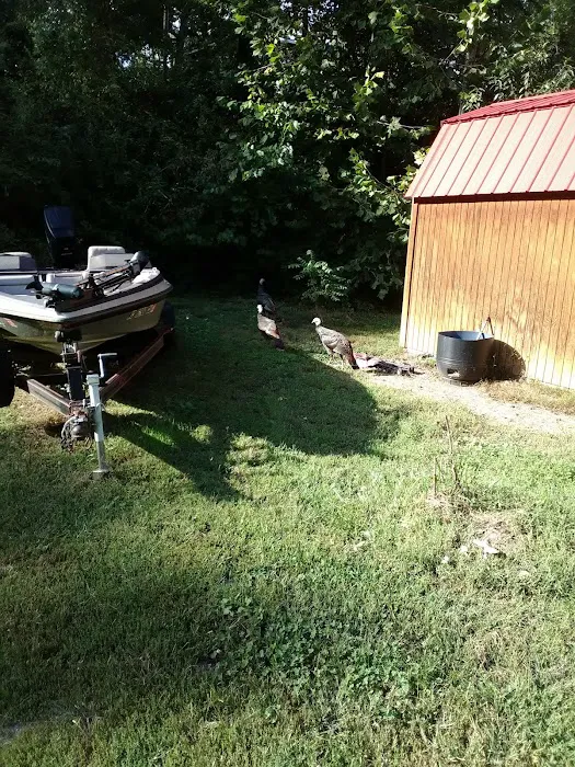 Oteen Trailer Park 4