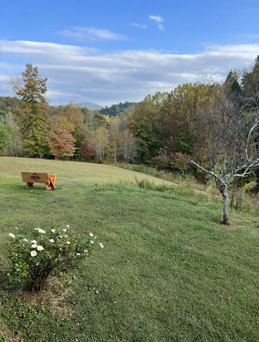 Rutherford Mountain Campground 6