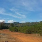 Rutherford Mountain Campground