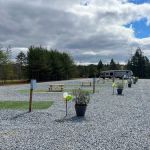 Green Life Campground & RV Park