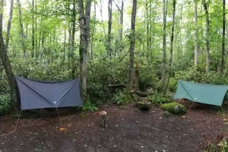 Backcountry Campsite #30