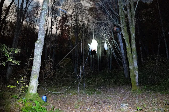 Backcountry Campsite #30 5