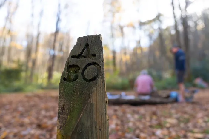 Backcountry Campsite #30 4