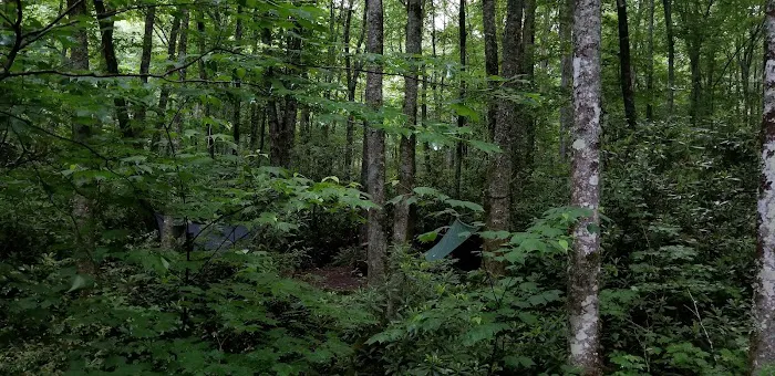 Backcountry Campsite #30 8