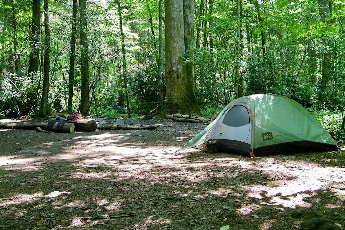 Backcountry Campsite #49 3