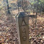 Backcountry Campsite #49