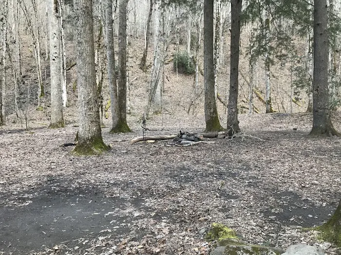 Backcountry Campsite #49 6