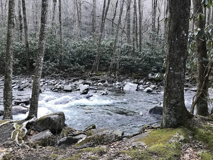 Backcountry Campsite #49 8