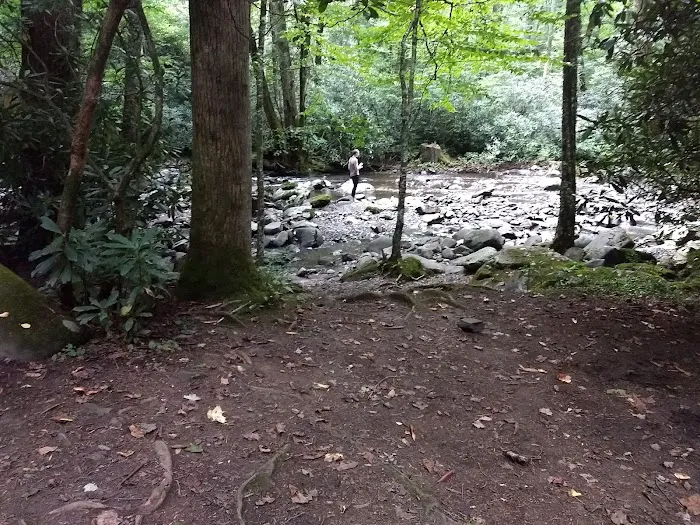 Backcountry Campsite #49 5