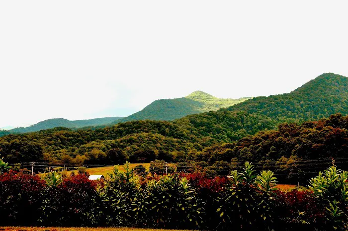 Pride RV Resort 9