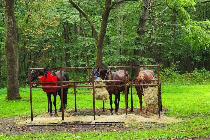 Cataloochee Horse Camp 2
