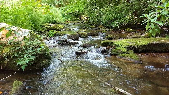 Cataloochee Horse Camp 10