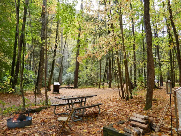 Cataloochee Campground 3