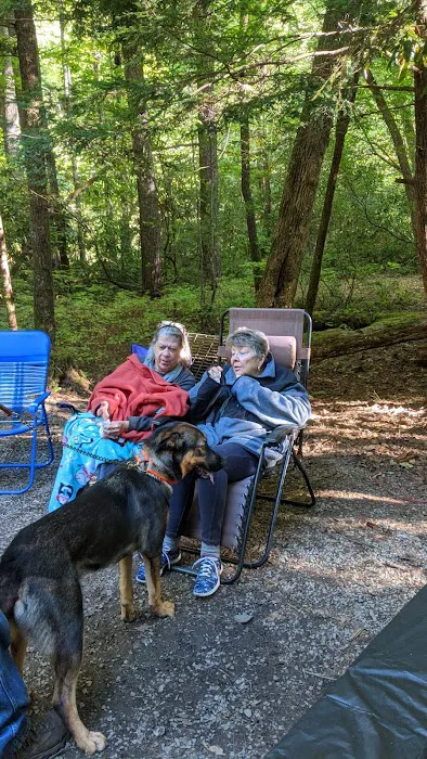 Cataloochee Campground 8