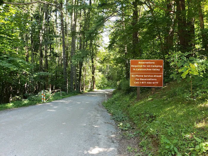 Cataloochee Campground 9