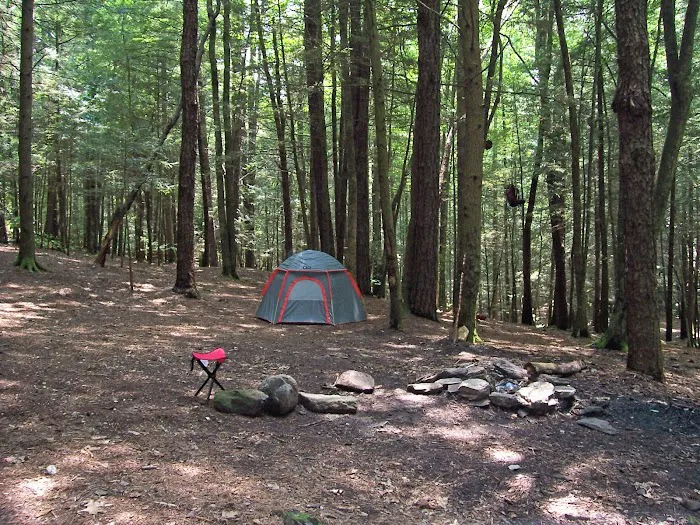 Backcountry Campsite #39 1
