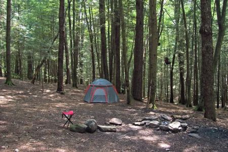 Backcountry Campsite #39