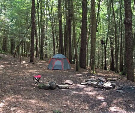 Backcountry Campsite #39