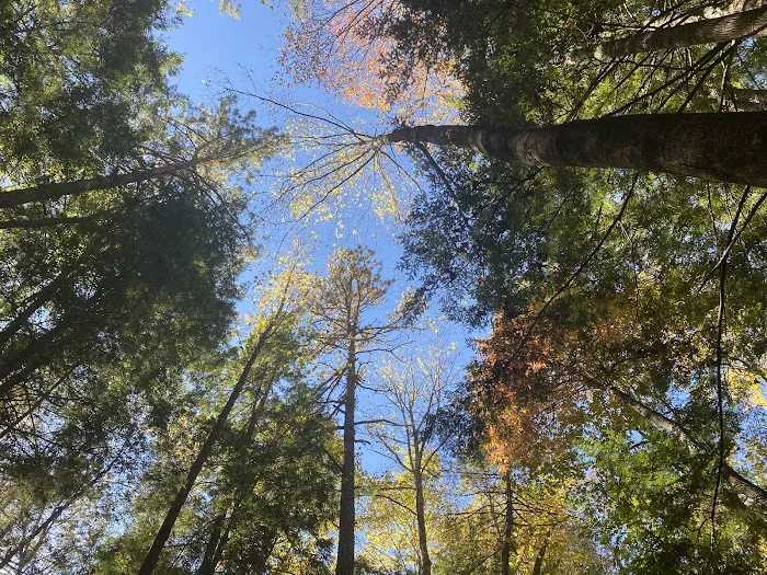 Backcountry Campsite #39 9