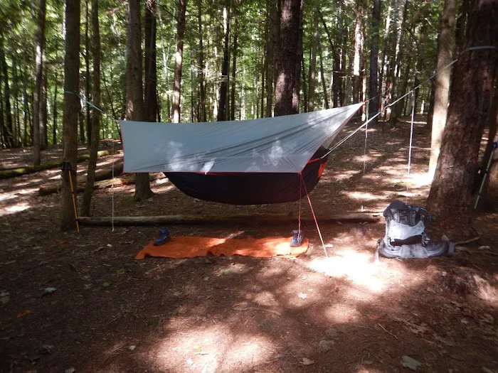 Backcountry Campsite #39 10