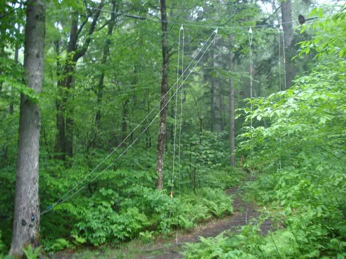 Pecks Corner Shelter 8