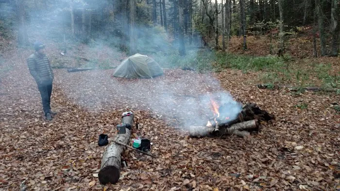 Backcountry Campsite #44 2