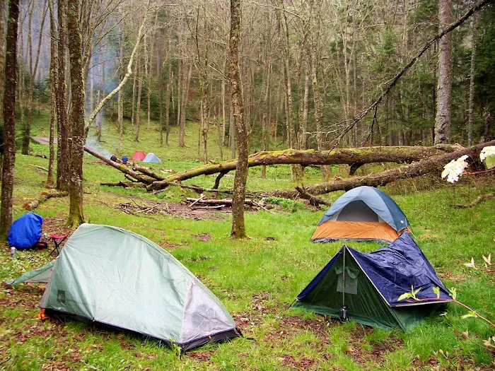 Backcountry Campsite #44 3