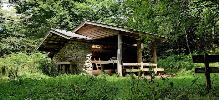 Laurel Gap Shelter 1