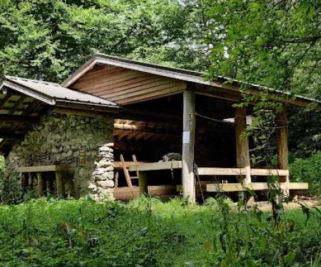 Laurel Gap Shelter