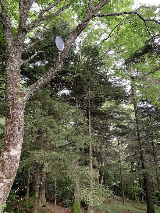 Laurel Gap Shelter 8