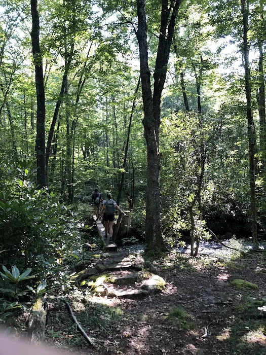 Cataloochee Group Campground 2