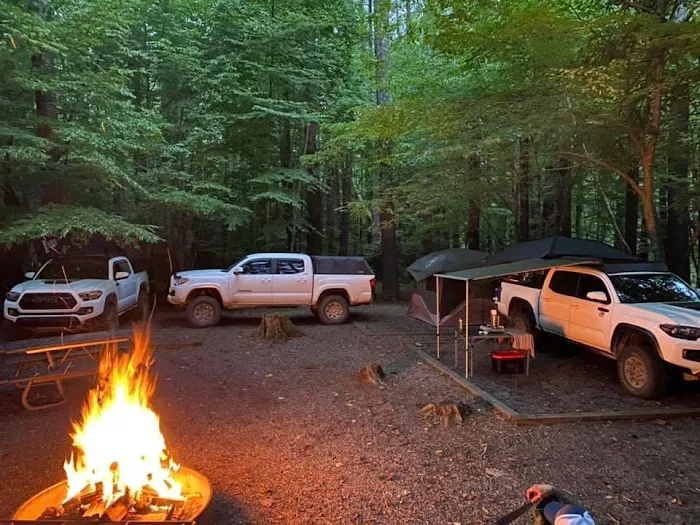 Cataloochee Group Campground 3