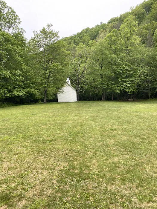 Cataloochee Group Campground 8