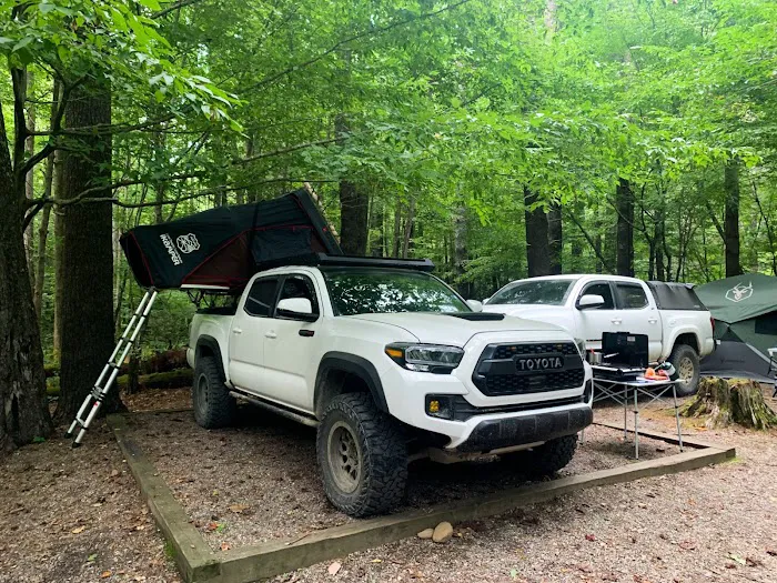 Cataloochee Group Campground 6