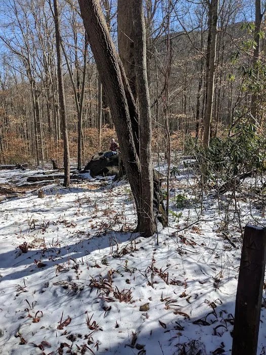 Backcountry Camp 27 7