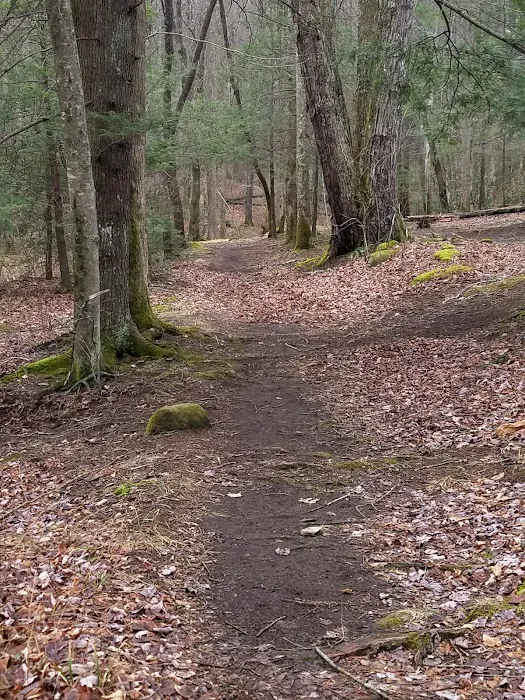 Backcountry Camp 20 1