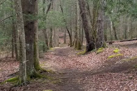Backcountry Camp 20