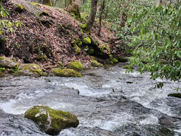 Elkmont Campground 2