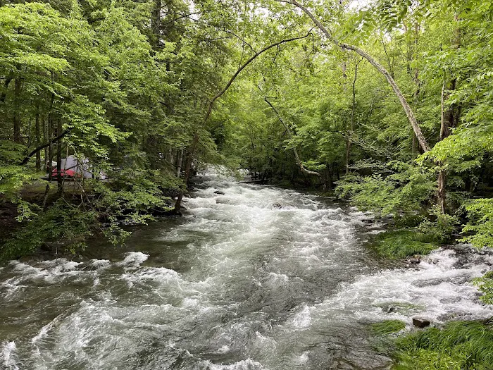 Elkmont Campground 3
