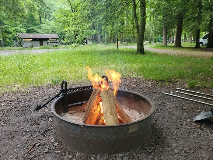 Elkmont Campground 8