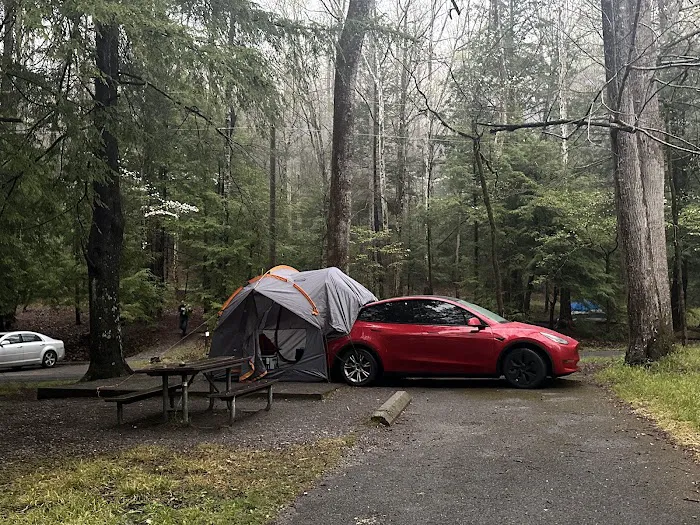 Elkmont Campground 7