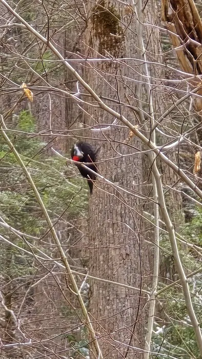Nature Trailhead Campground 1